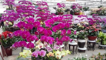 北京植物园秋季种植会议